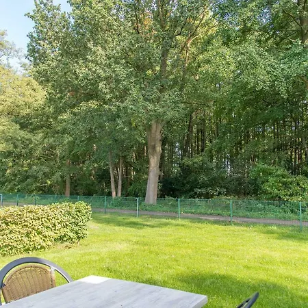 Bungis Ferien Direkt Am Grimnitzsee, Seeseite 15 Ferienhaus